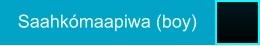 Saahkómaapiwa (boy)