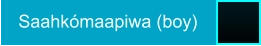 Saahkómaapiwa (boy)